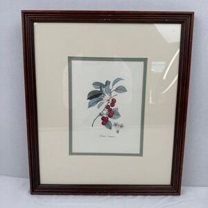 Vintage Cerise Commune Botanical Cherry Print Framed Wall Art 13x15